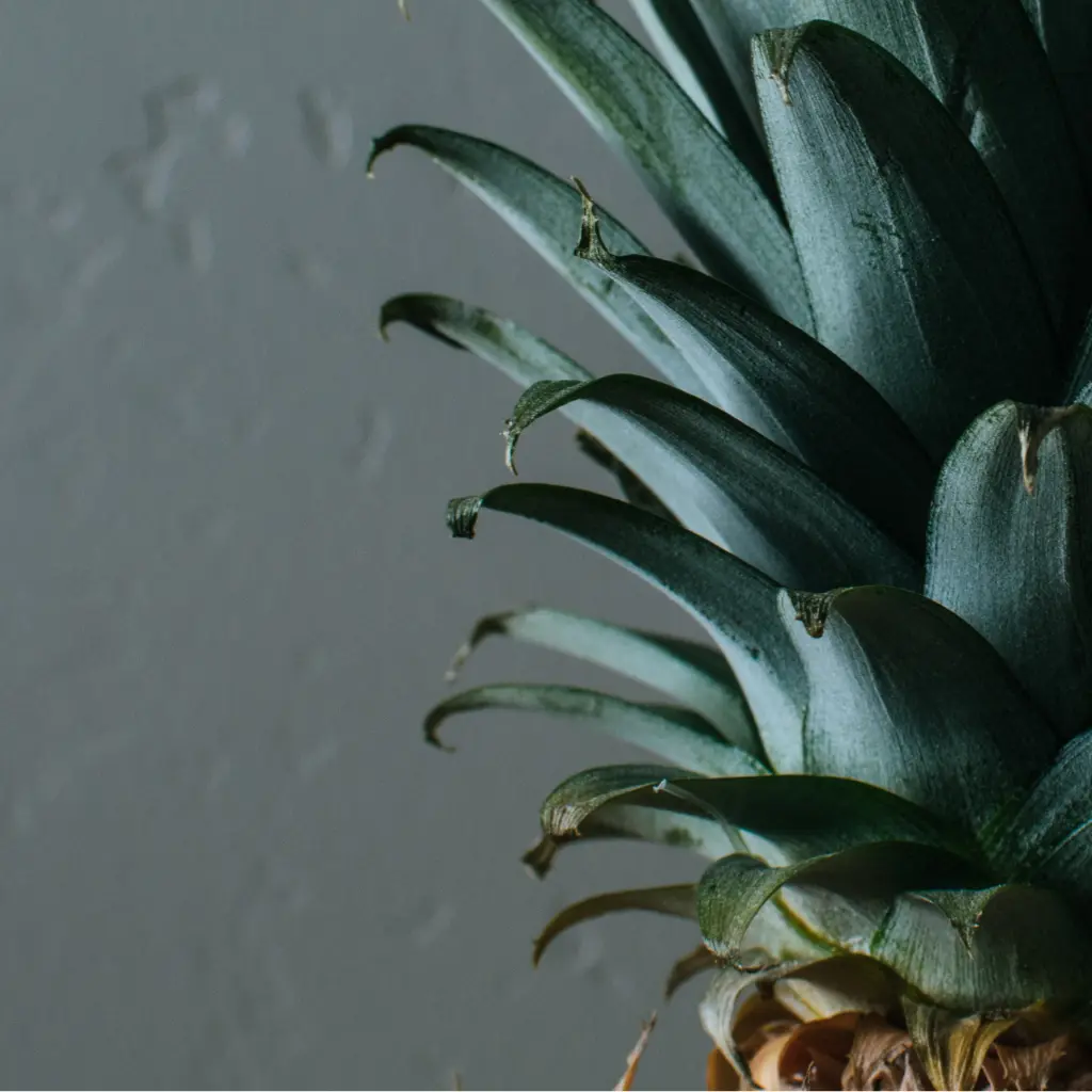 Ananas.webp