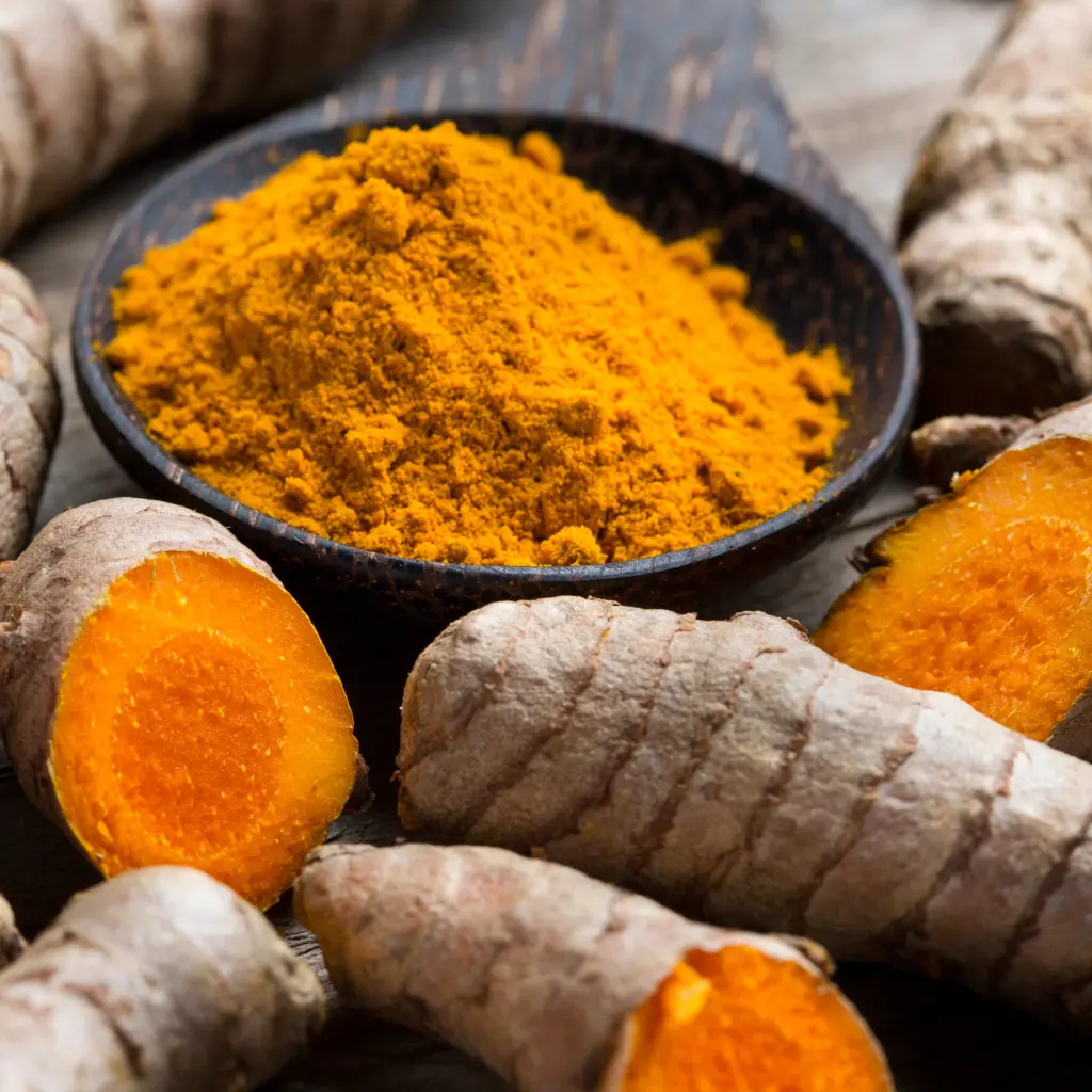 curcuma longa.webp
