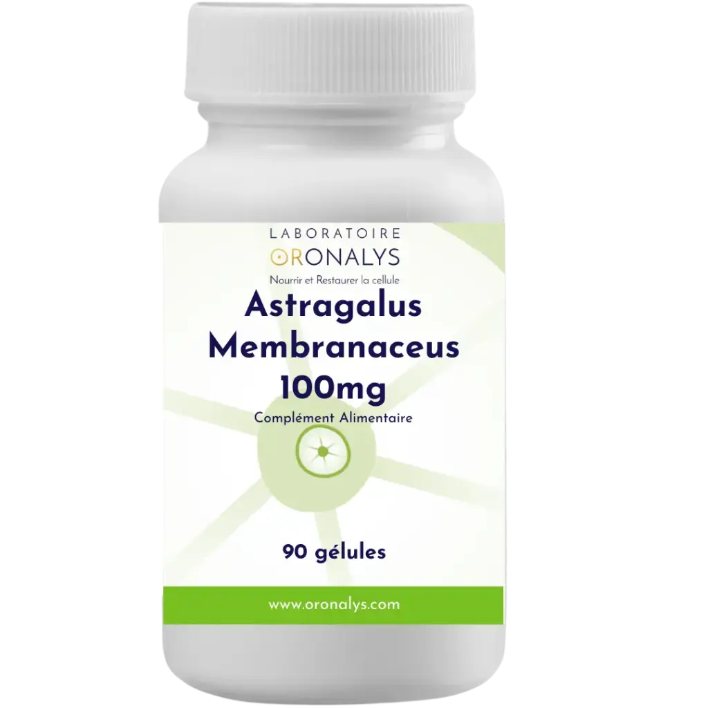 Astragalus Membranaceus