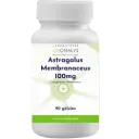 Astragalus Membranaceus