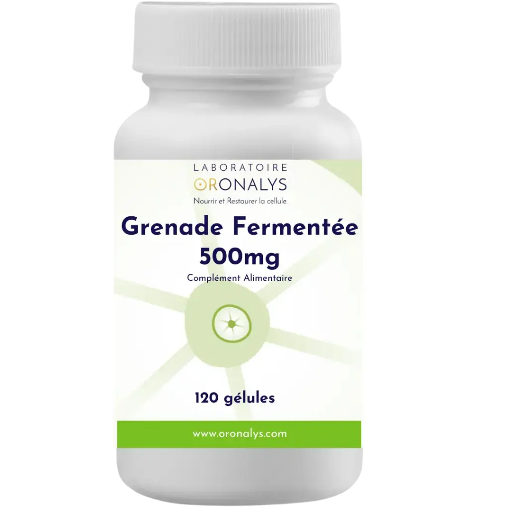 Grenade fermentée 500mg