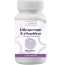 Lithospermum Erythrorhizon fort
