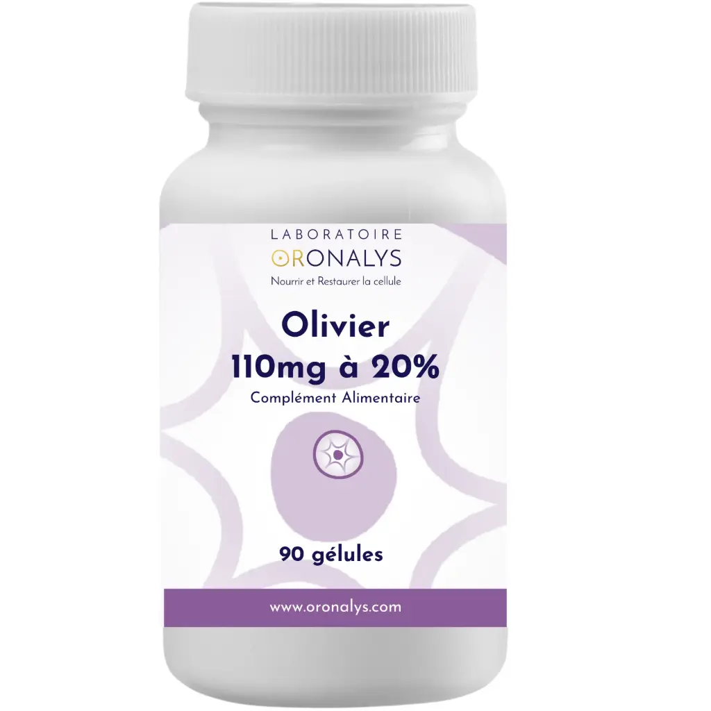 Olivo