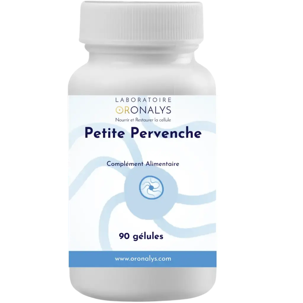 Petite Pervenche