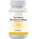 Scutéllaria  Baicalensis 350mg