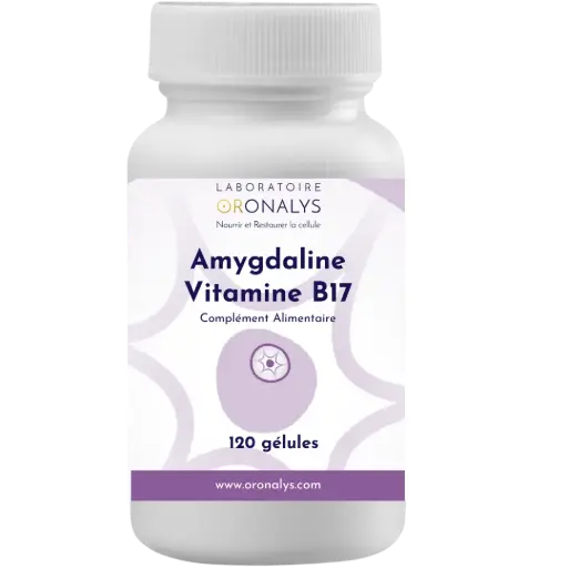[005.2] Amygdaline 400mg - Vitamine B17